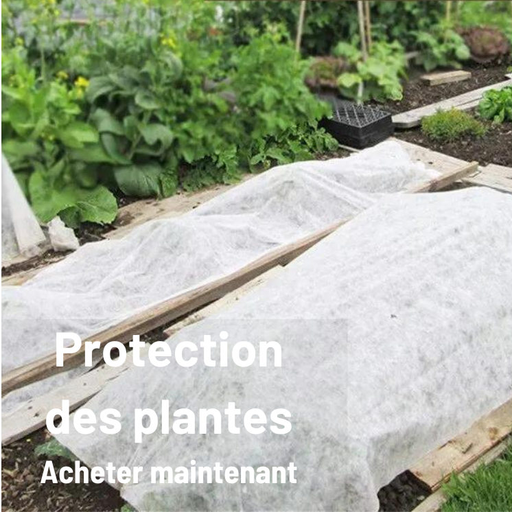 Protection des plantes